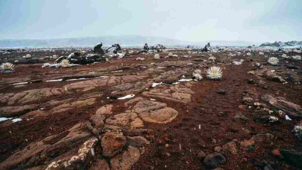 Does Haleakalā Get Snow