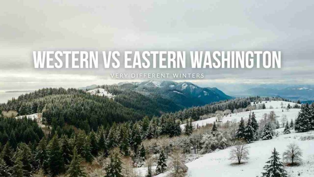 Does It Snow in Washington State? Where, When & How Much 2 Rainy Western Washington contrasted with snowier winter conditions in Eastern Washington
