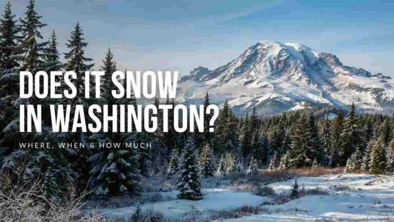 Snow-covered Mount Rainier and evergreen forest illustrating where and when it snows in Washington State